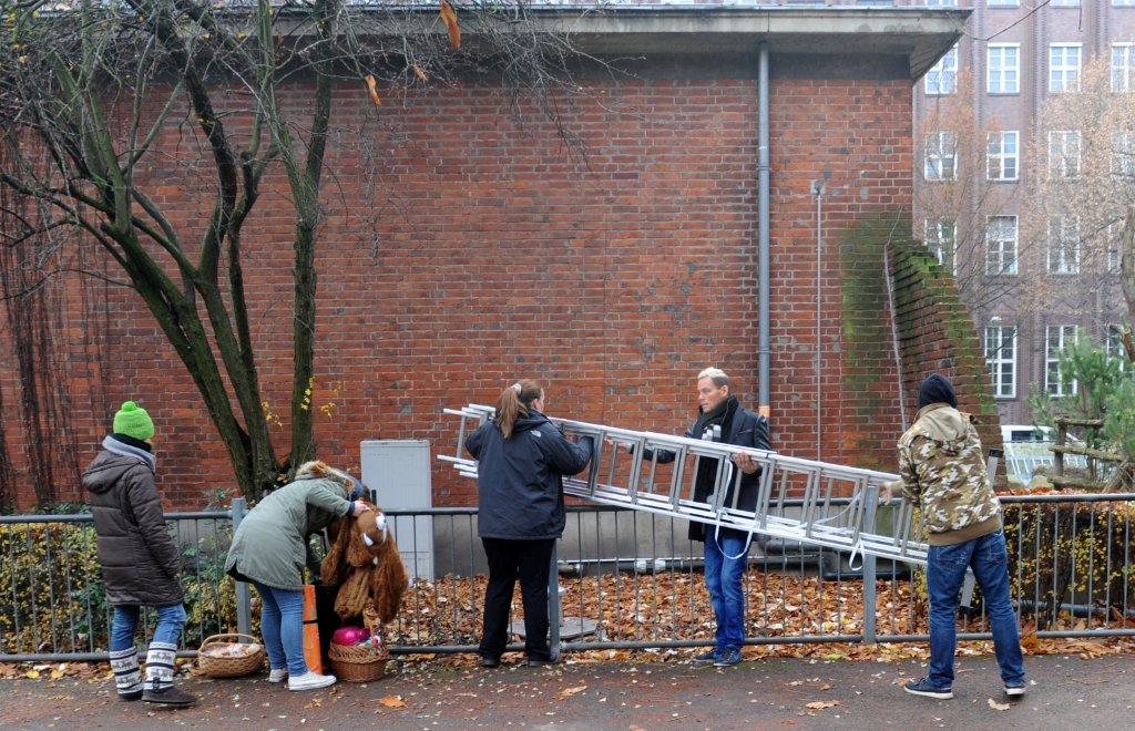 Berliner Dachbesetzer: Leiter kommt unter den Hammer