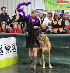 Dogge Liesbeth mit Frauchen Dogge Liesbeth mit Frauchen