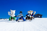 Rodeln mit Maskottchen - ©Faistauer (Wildkogel-Arena) Rodeln mit Maskottchen - ©Faistauer (Wildkogel-Arena)