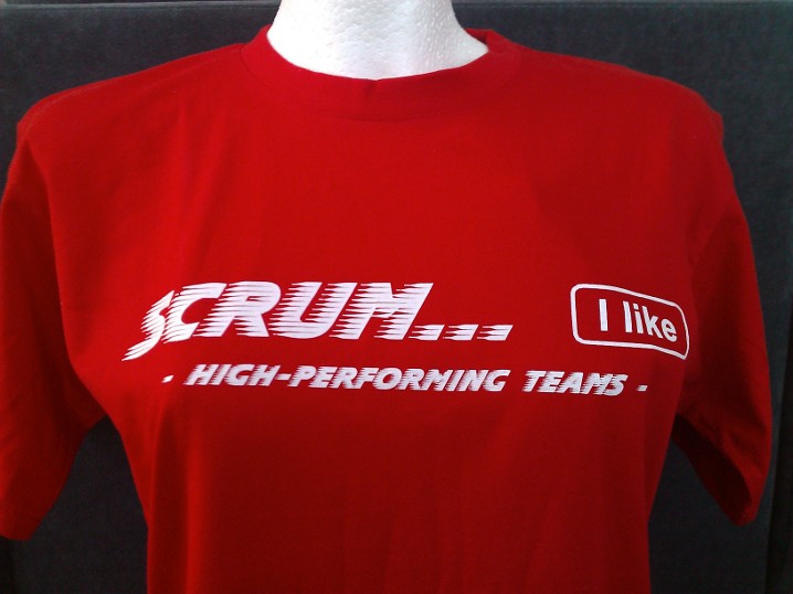 Das Scrum-Fan-Shirt auf Puppe Das Scrum-Fan-Shirt auf Puppe