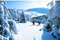 Schneeschuhwandern Schneeschuhwandern