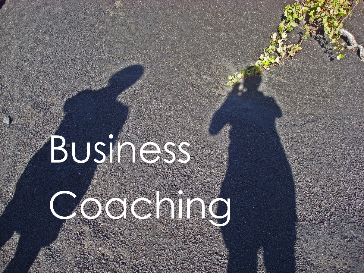 Business Coaching