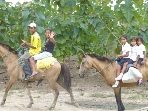 Life Forestry Ecuador: Kinder werden auf dem Pferderücken zur Schule gebracht. Bild: Life Forestry