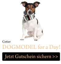 Mit dem Cotier Geschenkgutschein schnuppern Hunde Rampenlicht! Mit dem Cotier Geschenkgutschein schnuppern Hunde Rampenlicht!