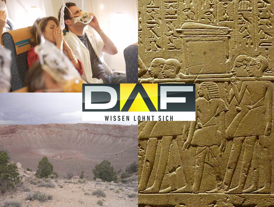 Die DAF-Highlights in der KW 51