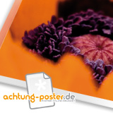 Foto auf Acrylglas
