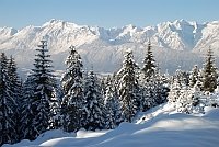 Winterlandschaft Winterlandschaft