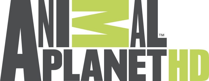 Logo Logo