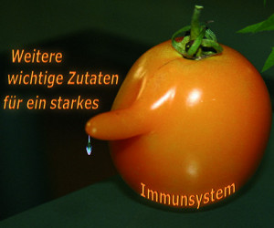 Tomate mit Nase, Text: Weitere wichtige Zutaten für ein starkes Immunsystem Tomate mit Nase, Text: Weitere wichtige Zutaten für ein starkes Immunsystem