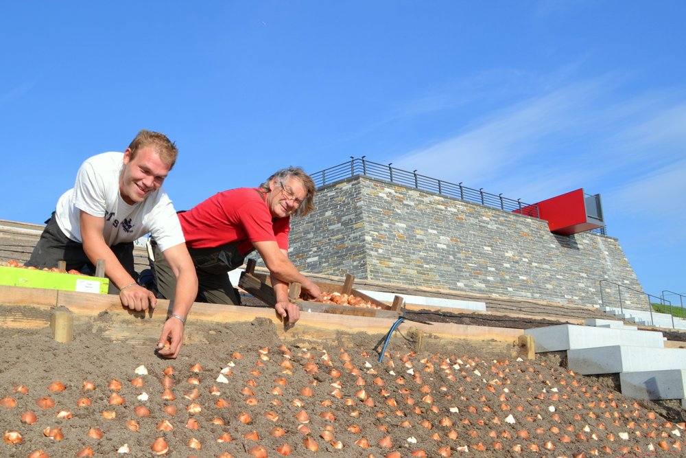 Daniel Schröder (l.) und Ruddi Matthys von der Firma Glasmacher & Söhne KG bepflanzen die Römerbasti Daniel Schröder (l.) und Ruddi Matthys von der Firma Glasmacher & Söhne KG bepflanzen die Römerbasti