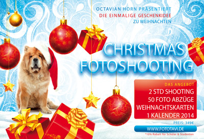 Fotoshooting zu Weihnachten