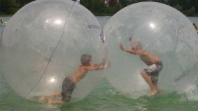 wild und flippig im Walkinjg Ball wild und flippig im Walkinjg Ball