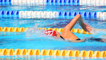 Regelmäßiges Schwimmen gibt dem Rücken wieder Halt Regelmäßiges Schwimmen gibt dem Rücken wieder Halt