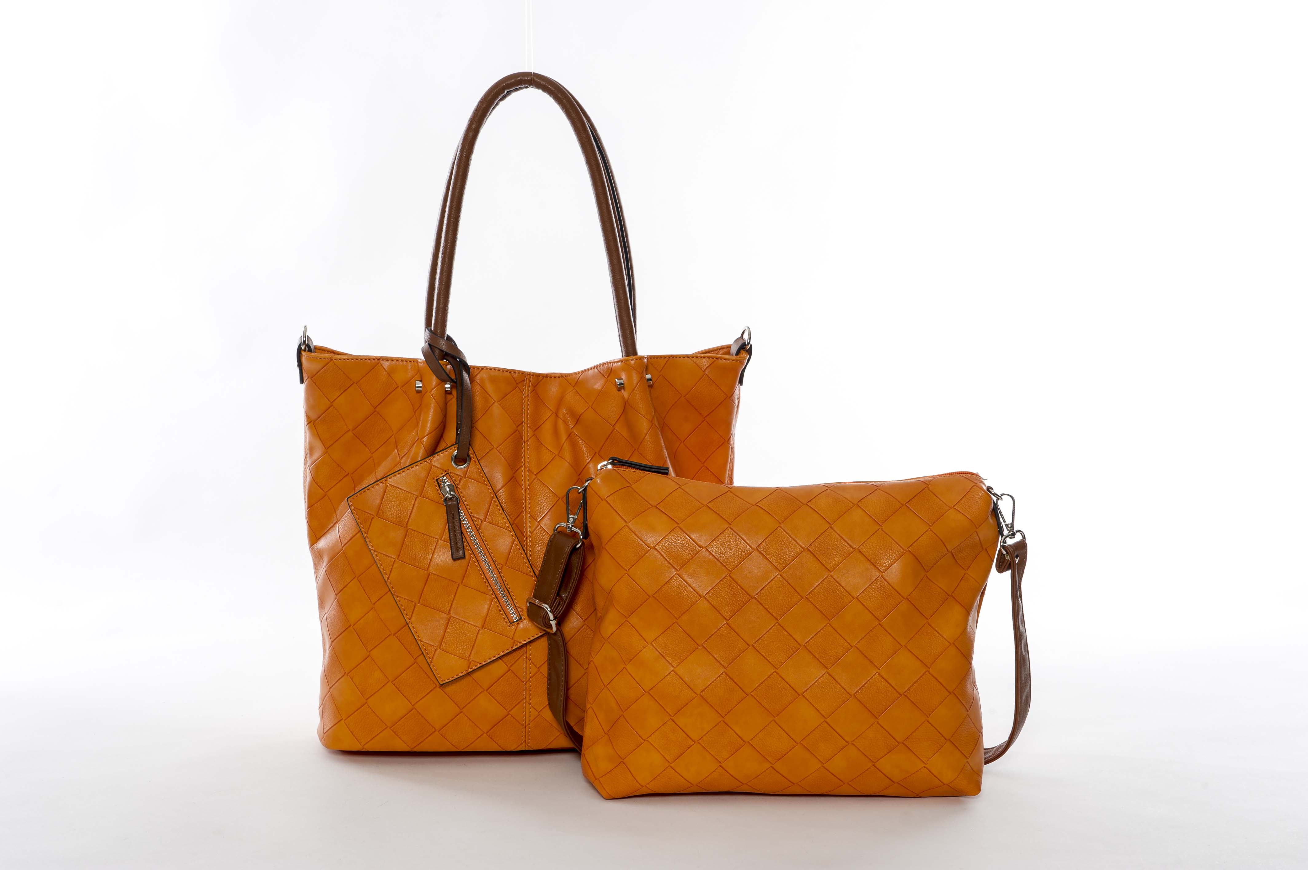 Bag in Bag