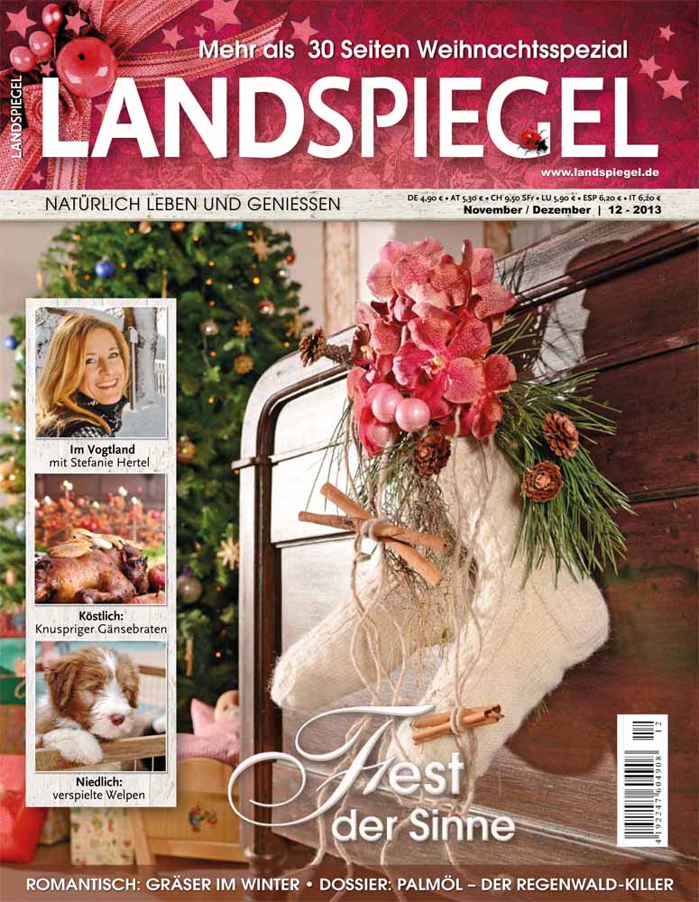 Der Weihnachts-LANDSPIEGEL ist da