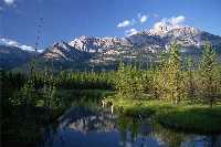 Bow River im Banff National Park Bow River im Banff National Park
