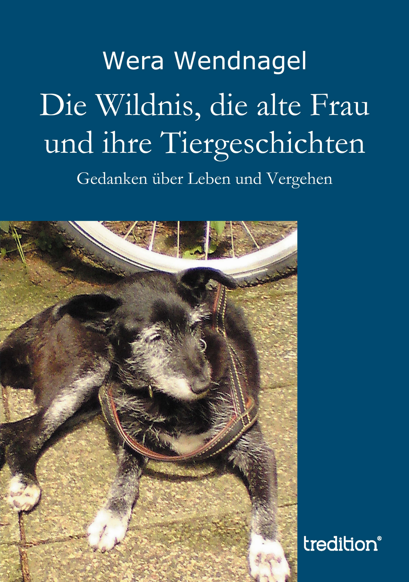 ?Die Wildnis, die alte Frau und ihre Tiergeschichten? von Wera Wendnagel