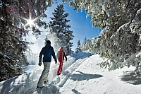 Winterwandern Wilder Kaiser