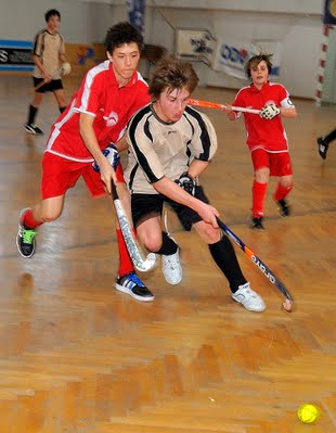 Hockey ist ein interessanter, aber anspruchsvoller Sport.