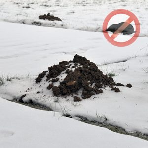 Maulwurfshügel im Winter vermeiden