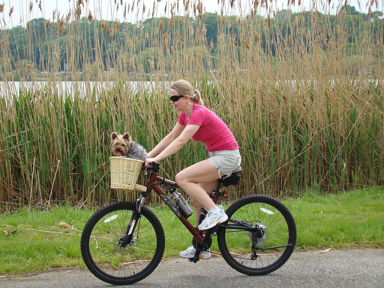 Bike-Domains: Millionen sind vom Radsport fasziniert - daher werden die Bike-Domains ein Erfolg Bike-Domains: Millionen sind vom Radsport fasziniert - daher werden die Bike-Domains ein Erfolg