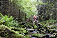 Wandern im Europareservat