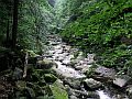 Wandern im Bayerischen Wald