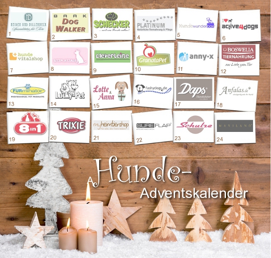 Der große Hunde-Adventskalender auf Stadthunde.com mit vielen hochwertigen Preisen