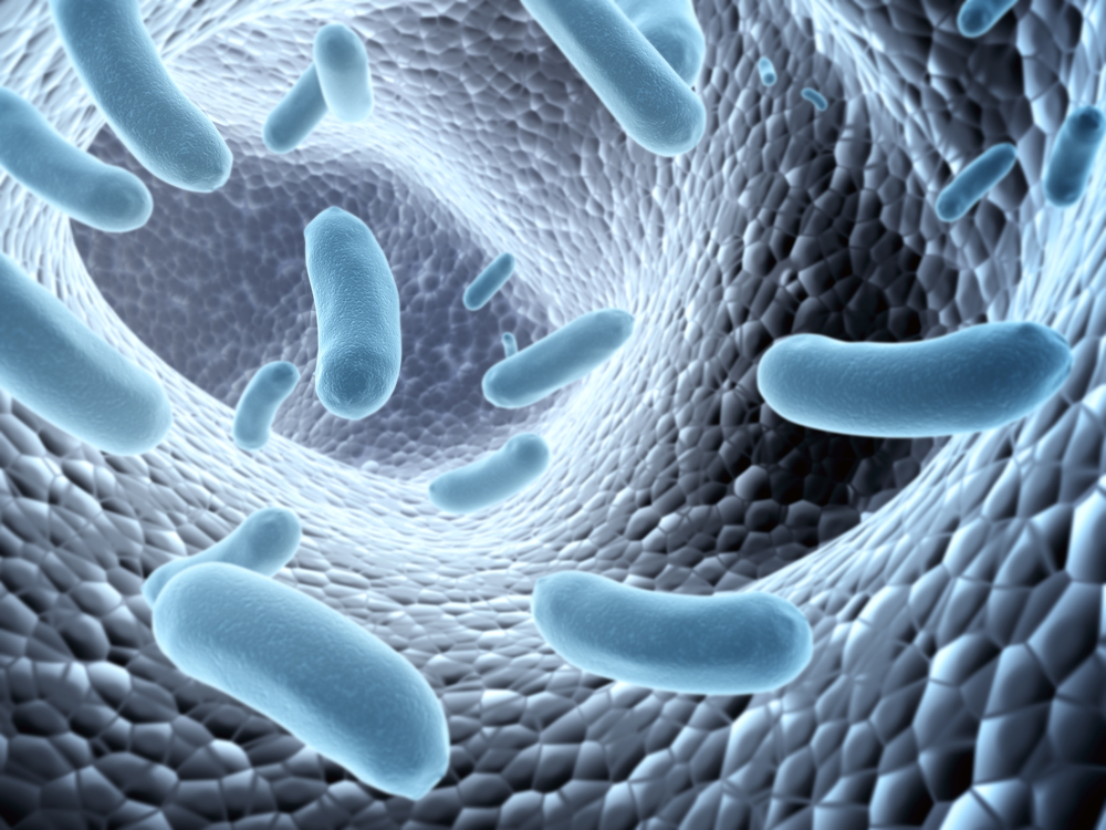 Borreliose-Therapie: Die IPT ist eine sanfte Alternative Borreliose-Therapie: Die IPT ist eine sanfte Alternative