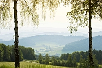 Natur in Ostbayern