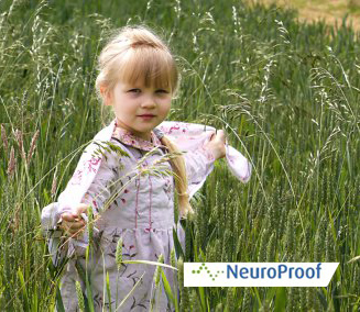 NeuroProof untersucht die Entwicklung des Gehirns