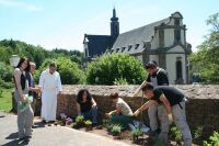 Die Projektgruppe des Bürgerservice Trier legt das erste Schmetterlingsbeet an Die Projektgruppe des Bürgerservice Trier legt das erste Schmetterlingsbeet an