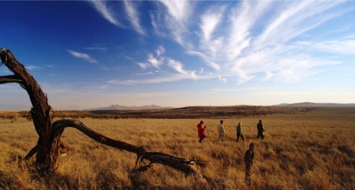 Außergewöhnliche Kenia Safari Reise Außergewöhnliche Kenia Safari Reise