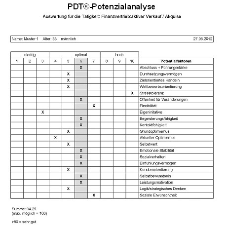 Musterauswertung PDT®-Potenzialanalyse