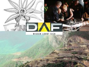 DAF-Highlights KW 6