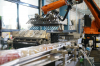 Automatisierte Verpackungslinien & Palettierungsanlagen für Pharmaproduktion (© KOCH Industrieanlagen GmbH)