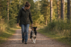 Beziehungsbasiertes Hundetraining