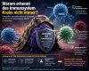 Warum erkennt das Immunsytem Krebs nicht immer? (© IMMUMEDIC Limited/ Andreas Rach)